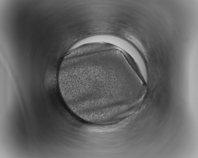 X0000095950017200801251139