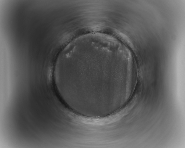 X0000095950018200801251139