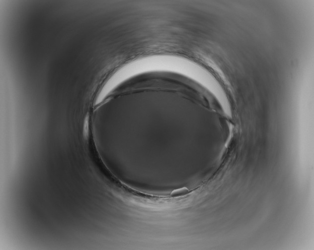 X0000095950019200801251139