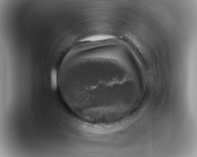 X0000095950022200801251139