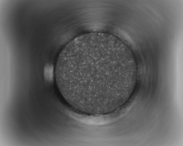 X0000095950024200801251139