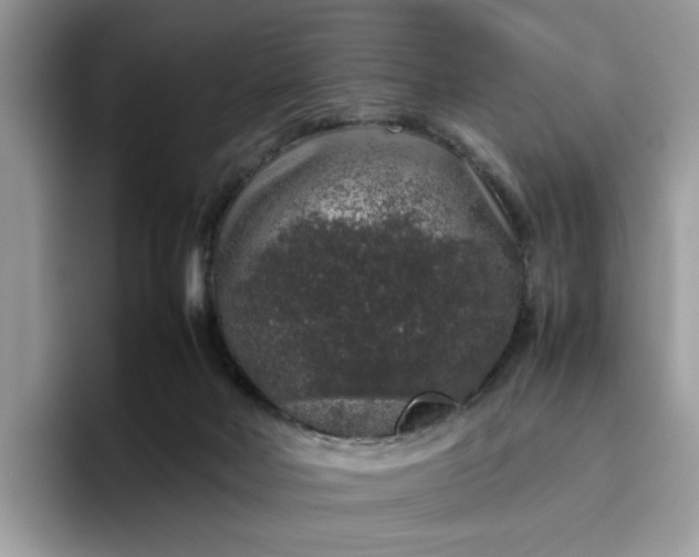 X0000095950026200801251139