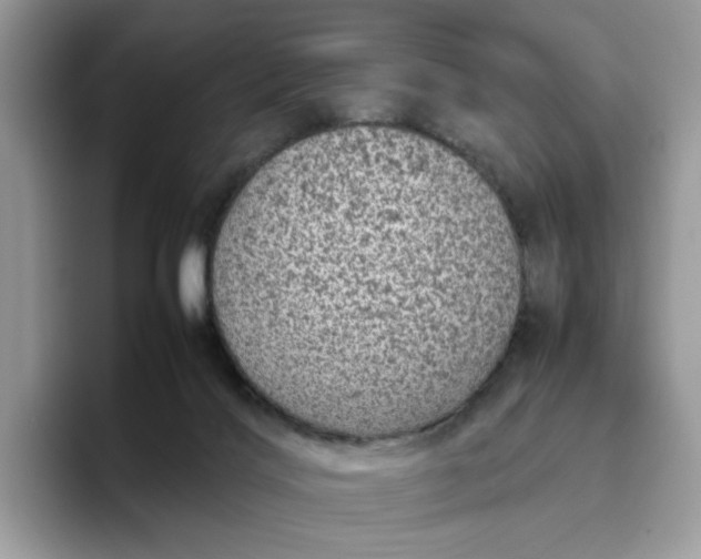 X0000095950028200801251139