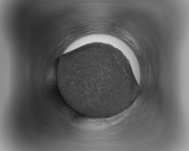 X0000095950029200801251139