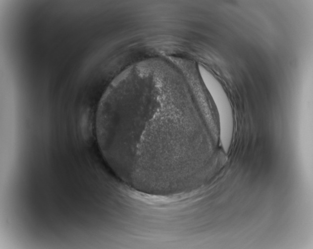 X0000095950030200801251139