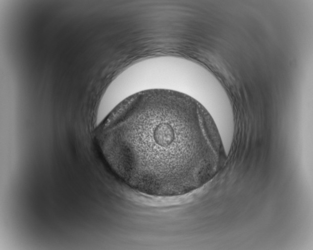 X0000095950031200801251139