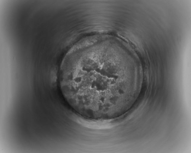 X0000095950032200801251139