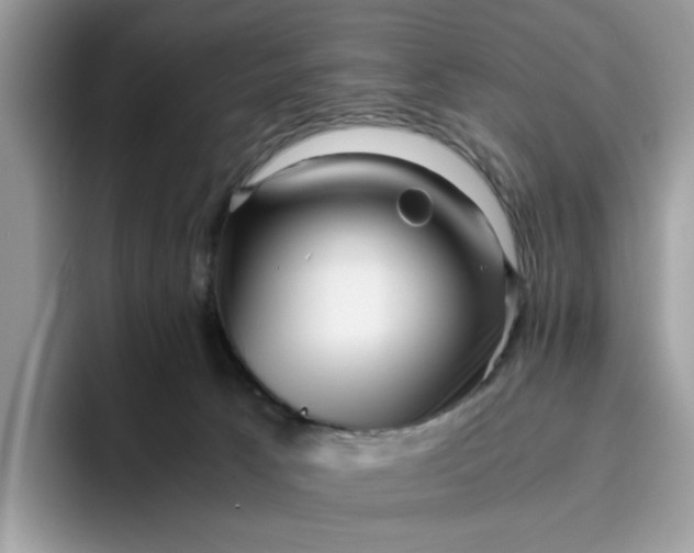 X0000095950033200801251139