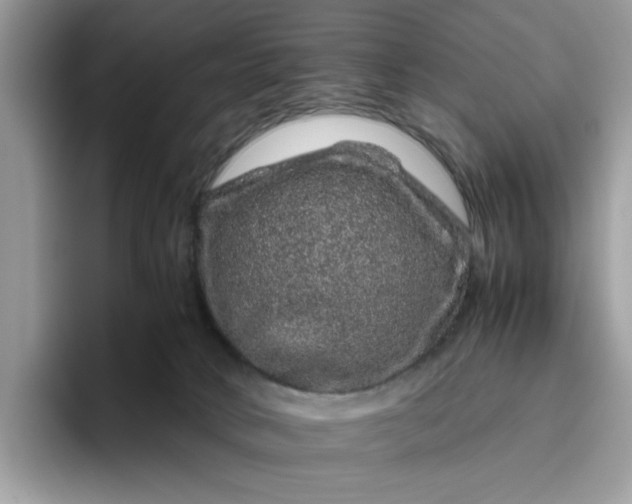 X0000095950034200801251139