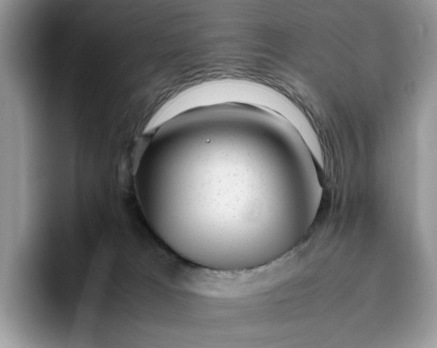 X0000095950037200801251139