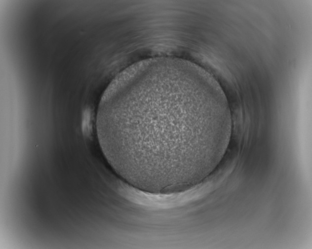 X0000095950038200801251139