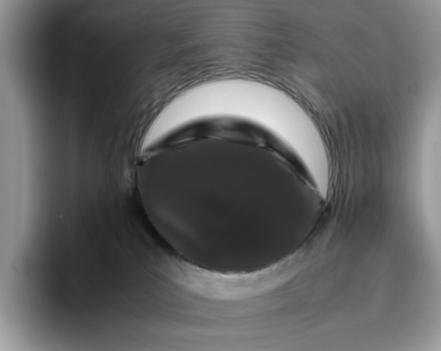 X0000095950039200801251139