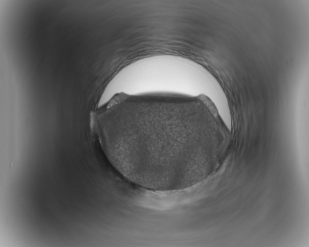 X0000095950041200801251139