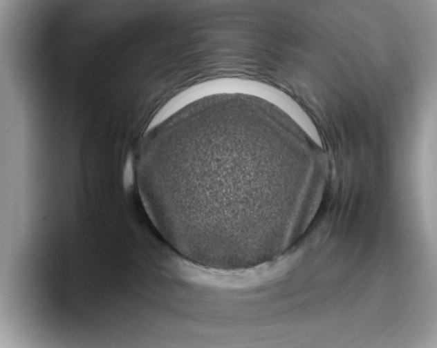 X0000095950042200801251139