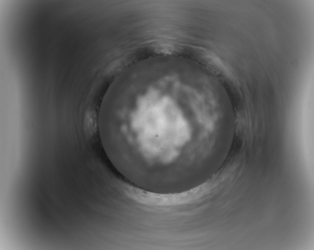 X0000095950043200801251139