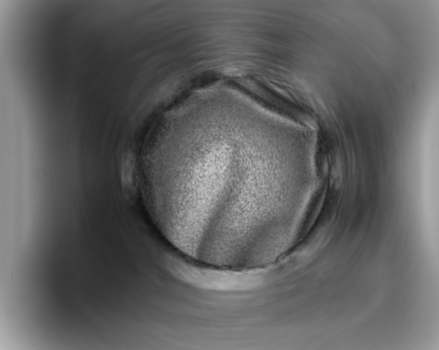 X0000095950044200801251139