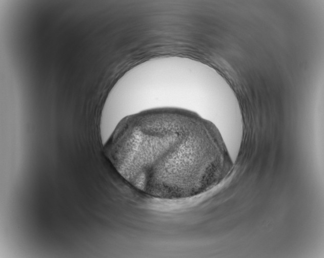 X0000095950045200801251139