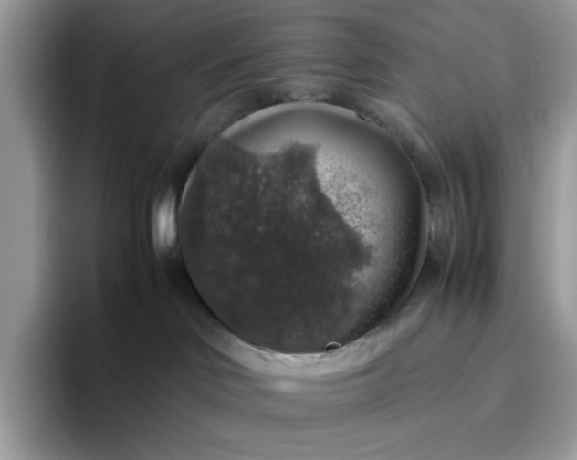 X0000095950046200801251139