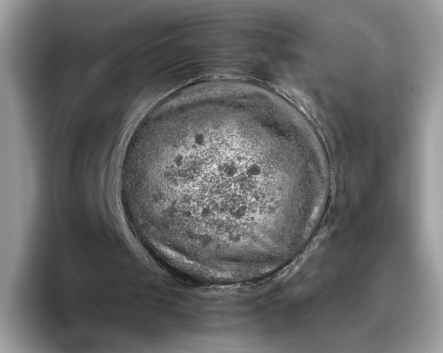 X0000095950049200801251138