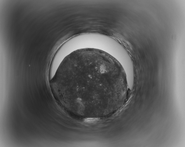 X0000095950051200801251138