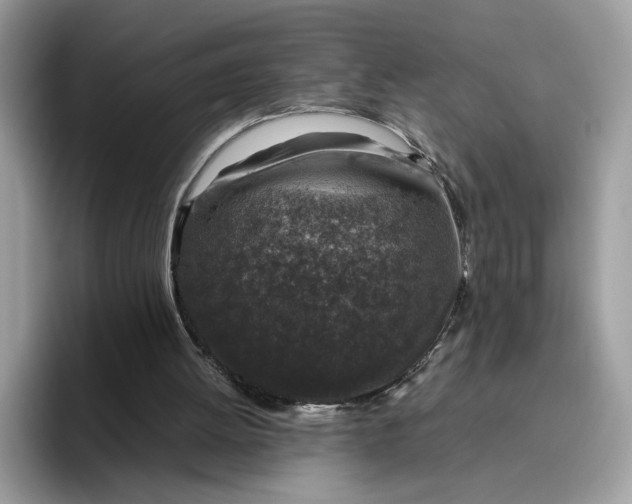 X0000095950052200801251138