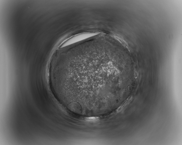 X0000095950053200801251138