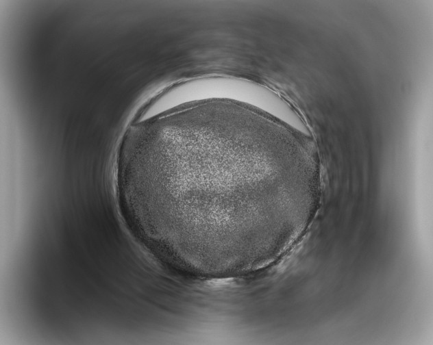 X0000095950054200801251138