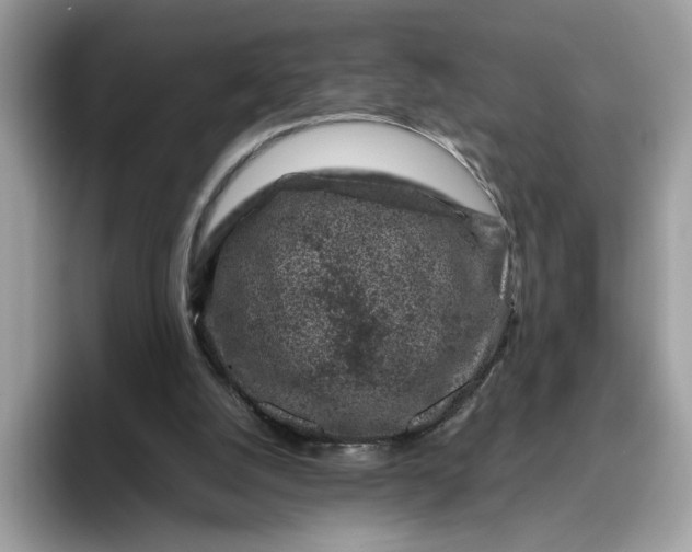 X0000095950056200801251138