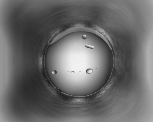 X0000095950057200801251138