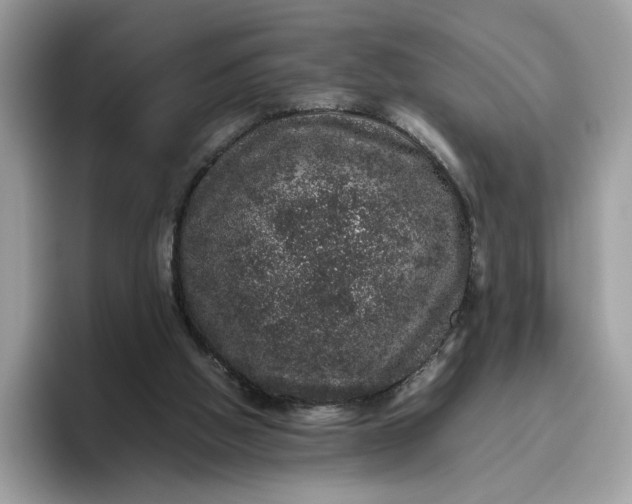 X0000095950058200801251138