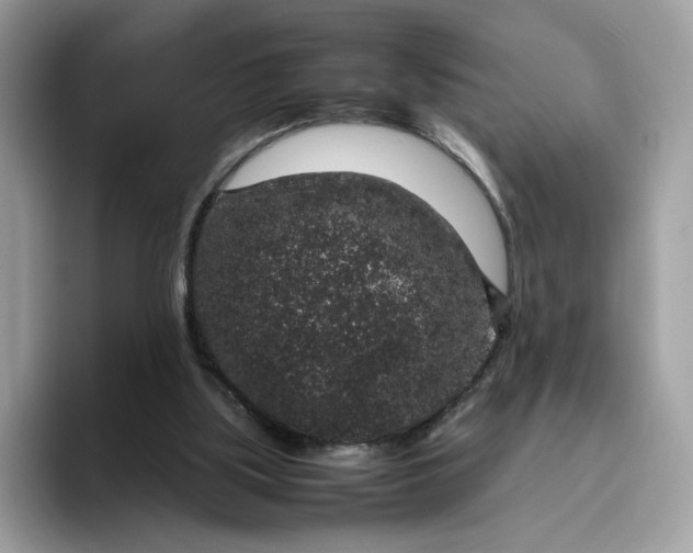 X0000095950059200801251138