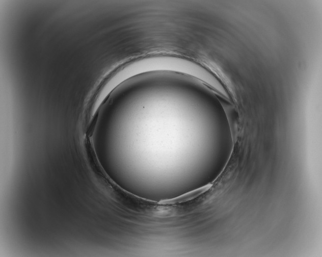 X0000095950060200801251138