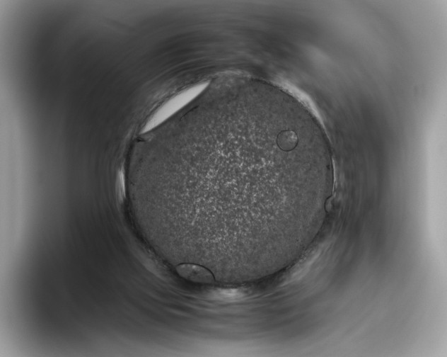 X0000095950061200801251138