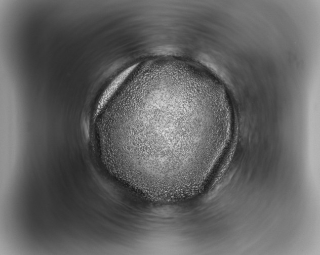 X0000095950062200801251138