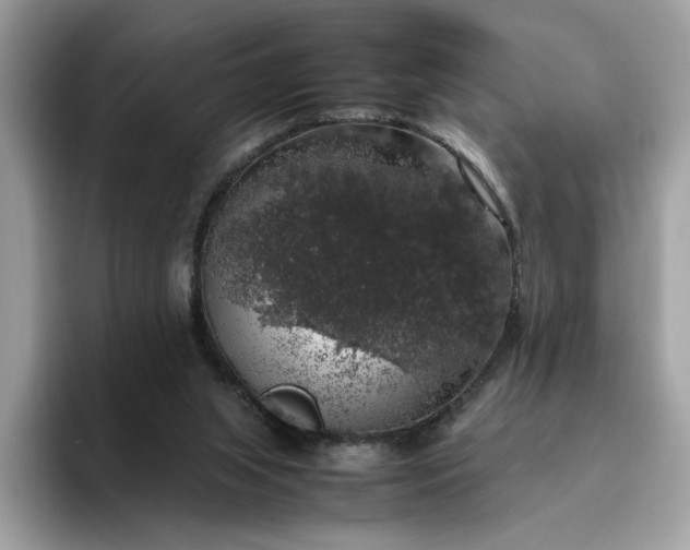 X0000095950063200801251138