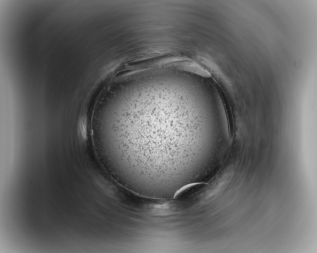 X0000095950068200801251138