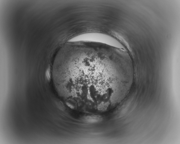 X0000095950069200801251138