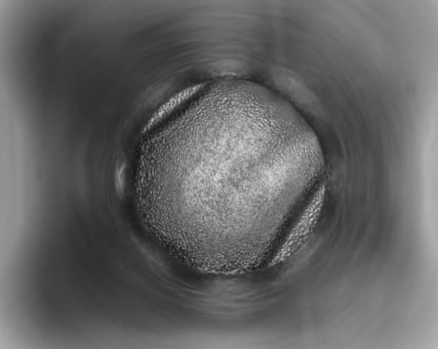 X0000095950070200801251138