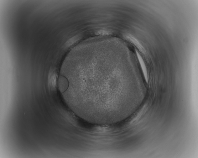 X0000095950071200801251138