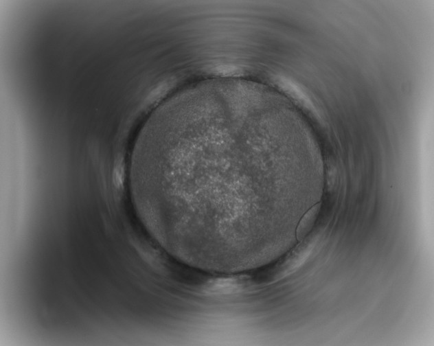 X0000095950072200801251138