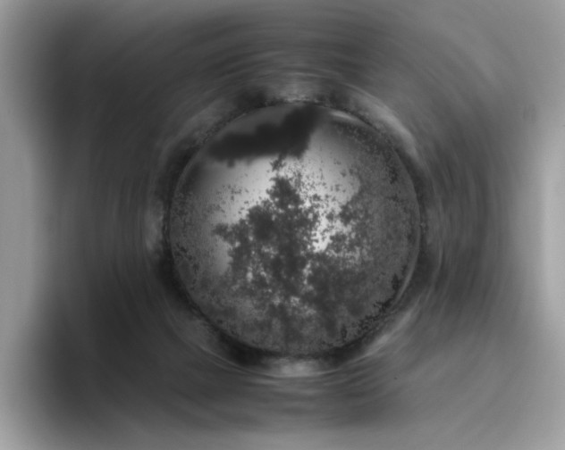 X0000095950073200801251138