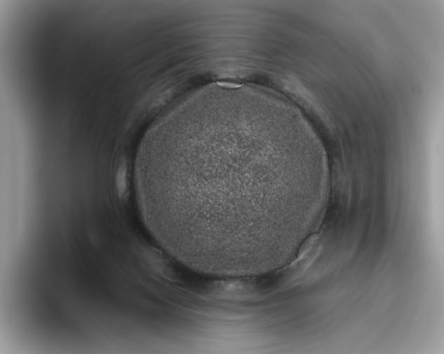 X0000095950074200801251138