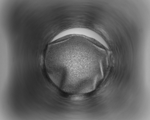 X0000095950077200801251138