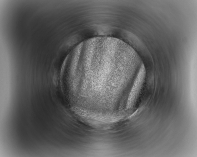 X0000095950078200801251138