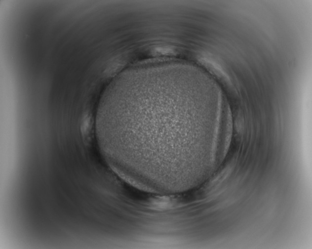 X0000095950079200801251138