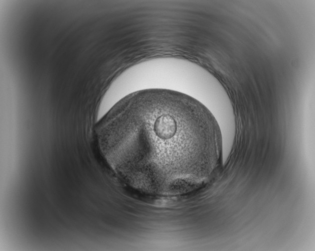 X0000095950080200801251138