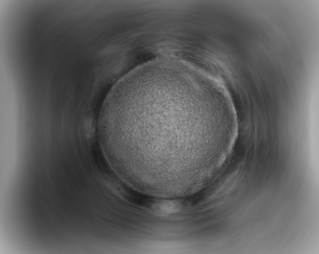 X0000095950081200801251138