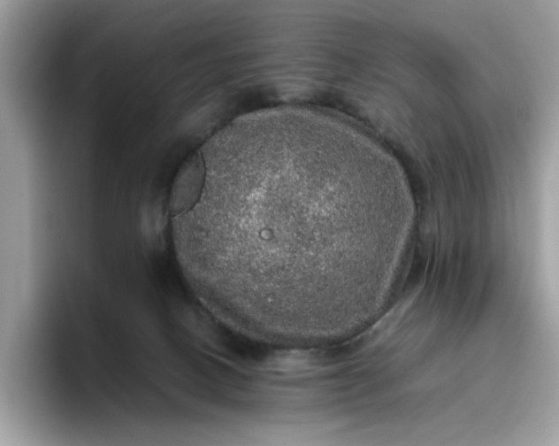 X0000095950082200801251138