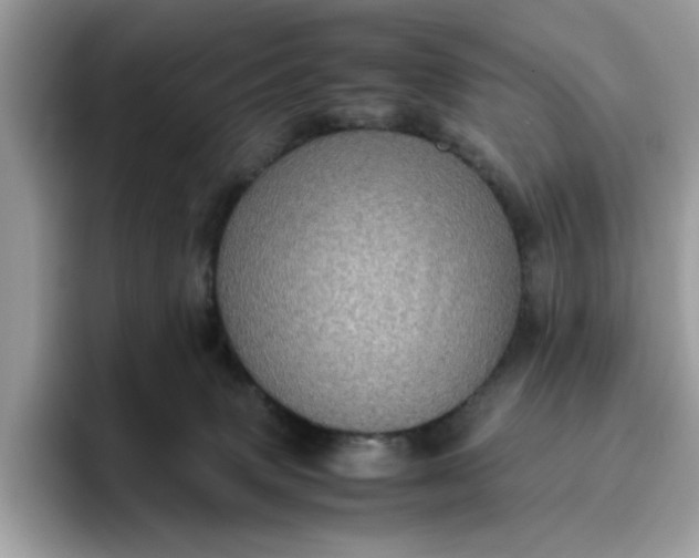 X0000095950083200801251138