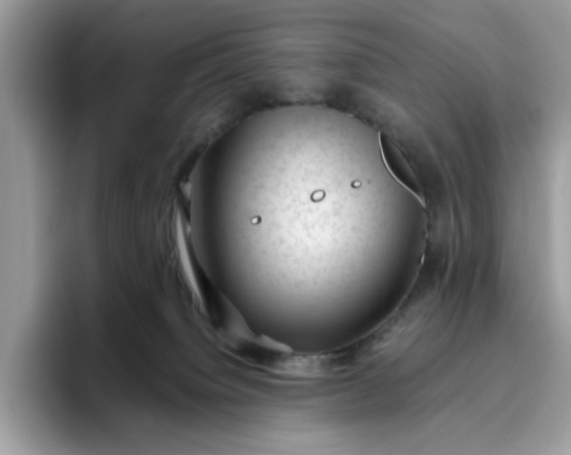 X0000095950084200801251138